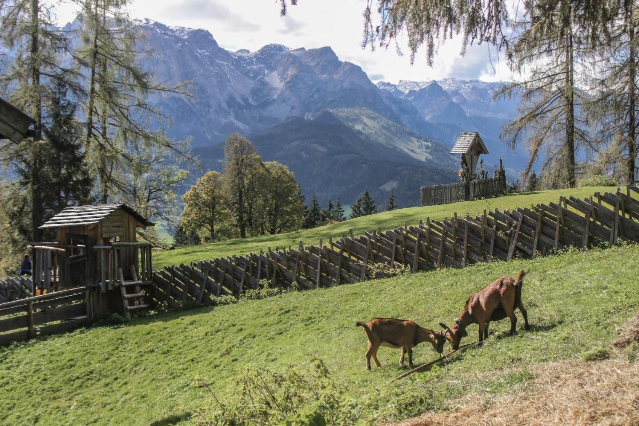 Haus Kathrin Hotel Werfenweng Buitenkant foto